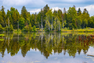 Lake landscape at Pfrunger Ried, Germany