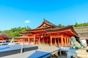 Fototapeta premium 夏の嚴島神社 干潮時 広島県廿日市市 Itsukushima Shrine in summer. At low tide. Hiroshima Pref, Hatsukaichi City.