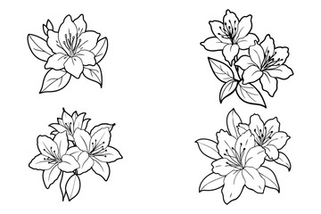 This is azalea flowers vector line art with illustration