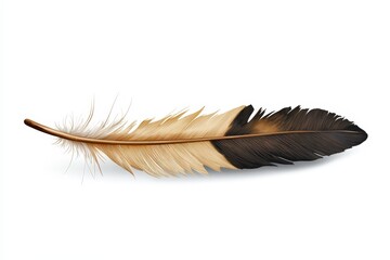 A beautifully detailed feather showcasing rich brown and cream hues, perfect for art, design, or nature-themed projects.