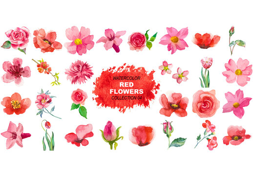 Vector watercolor painted red flowers clipart Hand drawn elements isolated on white background