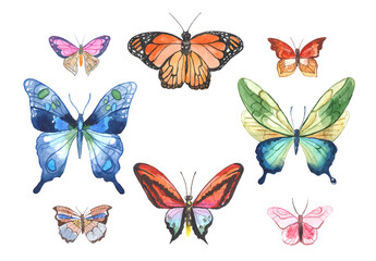Vector illustration of watercolor butterflies isolated on white background