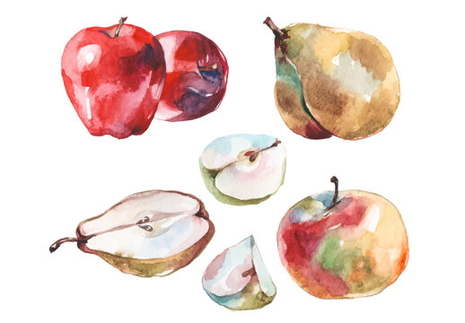 Watercolor painted collection of fruits. Hand drawn fresh food design elements isolated on white background.