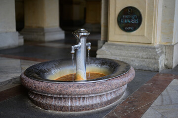 Libuse Pramen Hot Spring with Mineral Water in the Mill Colonnade or Mlynska Kolonada in Karlovy...