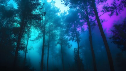 Obraz premium A surreal forest bathed in colorful rainbow mist at dawn, creating an ethereal and otherworldly atmosphere amidst towering trees.