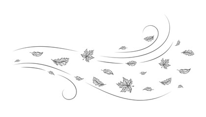 Autumn Leaves Outline Sketch Blown by a Cold Gust of Wind. Hand Drawn Oak and Maple Leaf Carried During Windy Weather. Vector Line Doodle Illustration Isolated