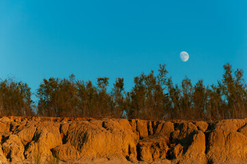 Trees grow on eroded hillside with moon rising in blue sky, showcasing geology. Peaceful scenery...