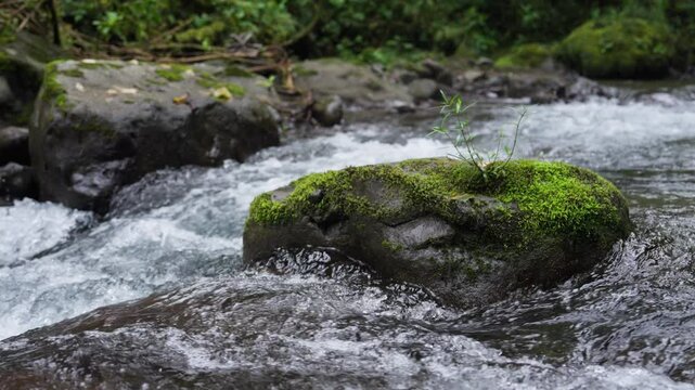 Roca con musgo en medio del r&iacute;o salpicando agua cuando choca contra la roca en c&aacute;mara lenta