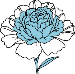 Delicate Simple Carnation with Ruffled Petals Vector Art
