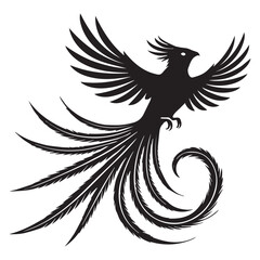 Obraz premium Bird Clipart - Resplendent quetzal Silhouette - Resplendent Quetzal Bird Vector Illustration in black and white 