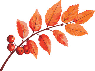 red leaf illustration