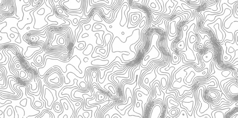 Topographic contour map. similar cartography illustration. Vector contour topographic map background. black abstract line luxury art. geography and topographic map. Panorama view gradient multicolor.