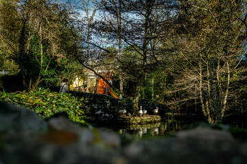 Fotografie miste paesaggistiche e artistiche. 