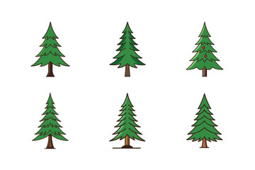 Vector spruce tree art illustration on white background