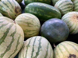 watermelons at the market