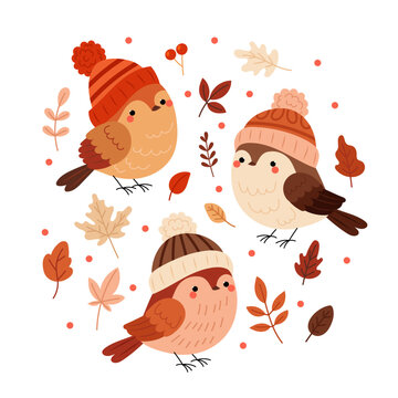 birds wearing hats autumn leaves clip art preview