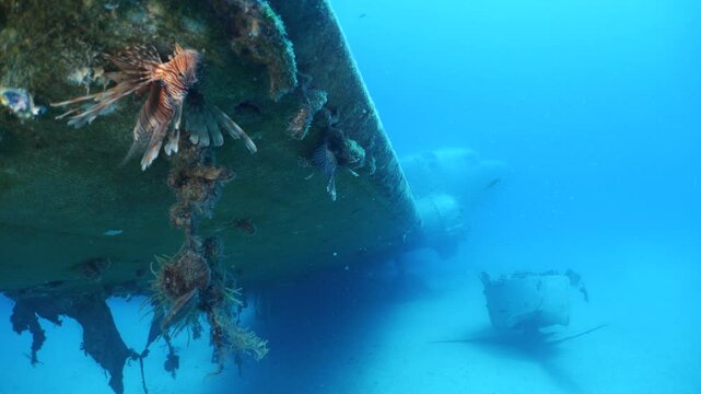 c47 dakota air plane wreck underwater  fish around ocean scenery of airplane and metal on ocean floor  scenery scuba divers to explore