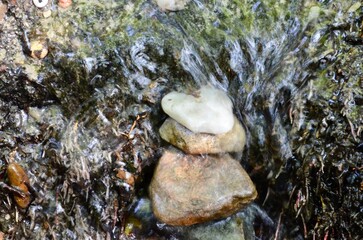 clean transparent spring water flowing over the stones