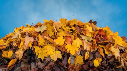 A vibrant pile of autumn leaves against a clear blue sky, perfect for seasonal designs and backgrounds. 

