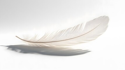 Obraz premium CG Floating Feather: A delicate, CG-rendered feather floating gracefully on a white background, casting a soft shadow. 