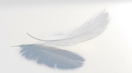 Obraz premium CG Floating Feather: A delicate, CG-rendered feather floating gracefully on a white background, casting a soft shadow. 