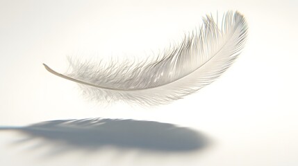 Obraz premium CG Floating Feather: A delicate, CG-rendered feather floating gracefully on a white background, casting a soft shadow. 