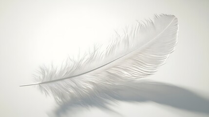 CG Floating Feather: A delicate, CG-rendered feather floating gracefully on a white background, casting a soft shadow.
