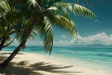 Fototapeta premium Tranquil Tropical Beach Scene