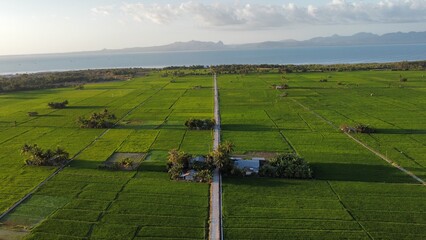 system in the field