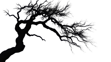 Minimalistic Spooky Tree Silhouette with Eerie Sharp-Angled Branches on White Background