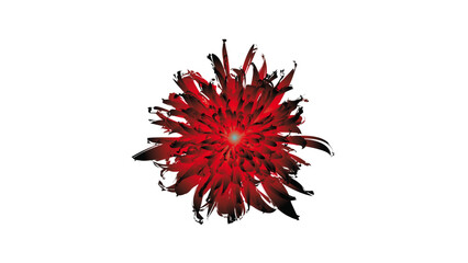 Grunge texted abstract art vector with flowers and plants in butter color style.4k video.