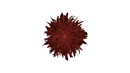 Grunge texted abstract art vector with flowers and plants in butter color style.4k video.