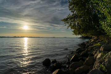 sunset over lake constance ( Bodensee )  with a tree and coastline with blue sky and clouds but clear sight in hard, vorarlberg, Austria