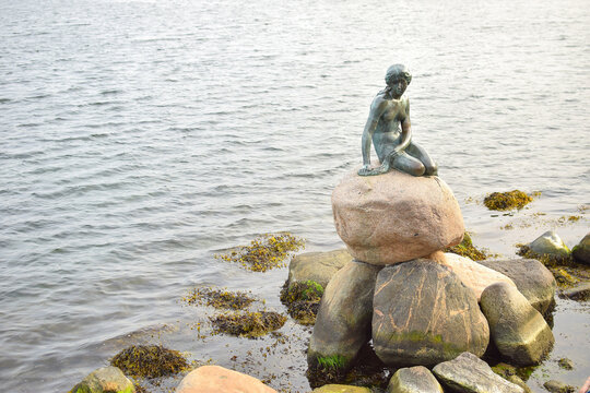 Copenhagen, Denmark. September 8, 2024. Famous bronze Little Marmaid sculpture in Copenhagen.