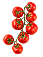 Red tomatoes on the vine isolated on a white background. A bunch of ripe juicy red tomatoes on a...