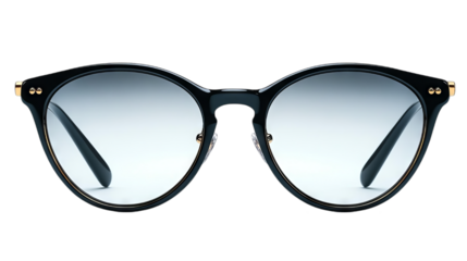 Round Black Glasses with Gold Accents: Stylish Eyewear