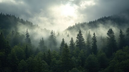 Serene Morning Mist Over Hilly Forest Landscape with Sunrays