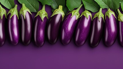 Fresh purple eggplants with green leaves arranged in a row on a matching purple background. Perfect for food and agricultural themes.