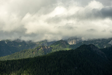 Clouds Cover View of Mount Rainier from Gobblers Knob