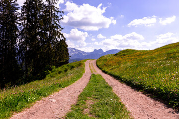 Hiking road in the countryside in the Alps