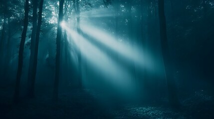 Fototapeta premium Glowing Light Beams Break Through Misty Forest Atmosphere Creating Mysterious and Captivating