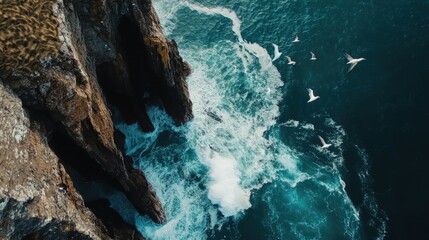 Fototapeta premium Majestic Coastal Cliff: Aerial View of Waves Crashing and Seabirds Soaring