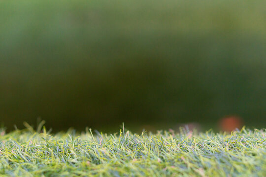 Empty green grass with blurry background for display a product