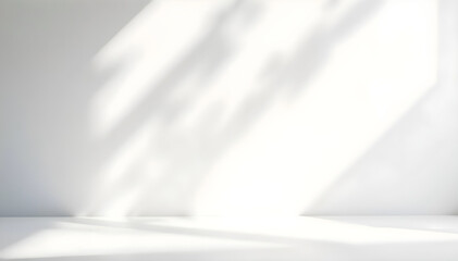 Minimalist White Wall with Natural Light