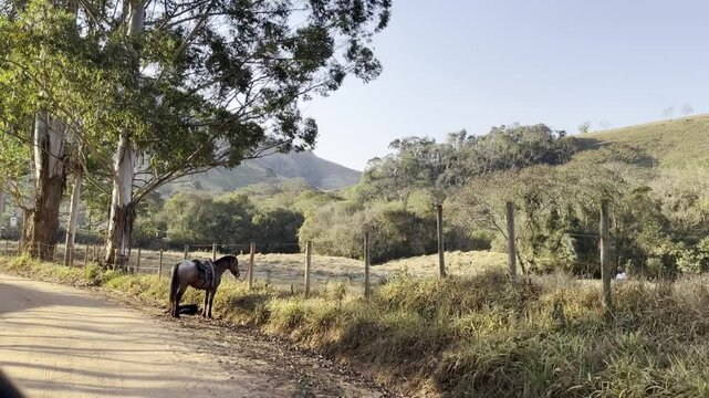Dirigindo  nas estradas de terra da Serra da Mantiqueira.