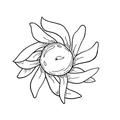 Diya candle in shape of lotus flower vector isolated illustration painted by black inks. Traditional Diwali burning lamp etching drawing. Transparent burning candle for coloring book, mandala art