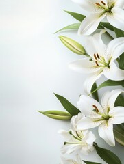 A delicate cluster of pristine white lilies arranged gracefully against a soft, light blue background. The lilies symbolize purity, innocence, and remembrance, making them a fitting tribute for a fune
