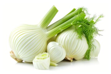 A fresh Fennel isolated on white. --ar 3:2 --v 6 Job ID: f1d94735-38b8-4191-8a82-ea105abf6659