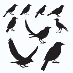 BIRD SILHOUETTE SET