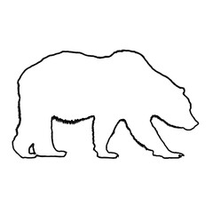 Bear Outline | Bear Drawing | Bear Illustration
